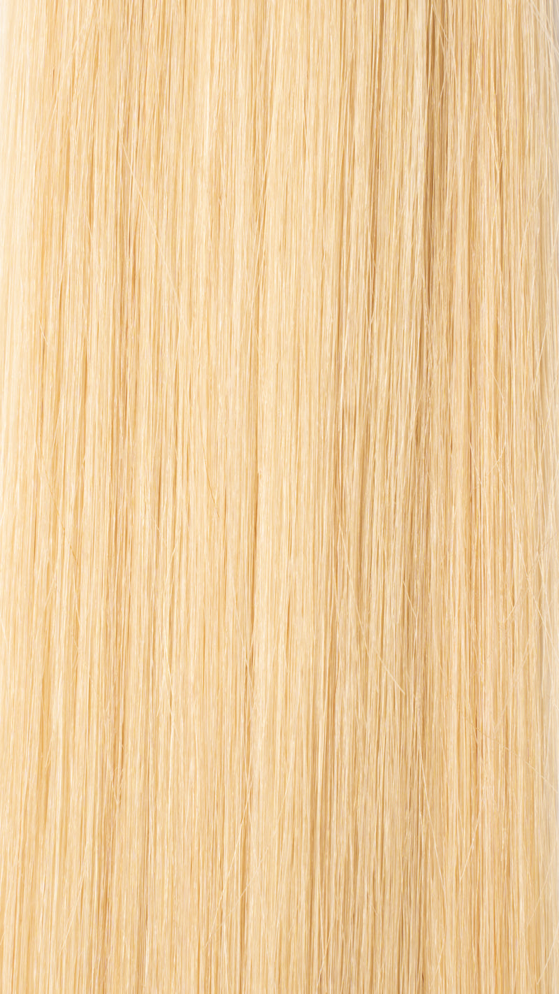 Clip In Hair Extensions: Back Volumiser #22 Creamy Blonde