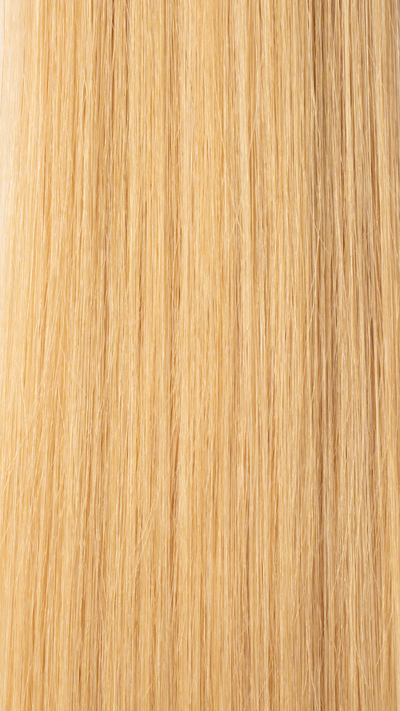 Tape Hair Extensions: #24 Golden Light Blonde