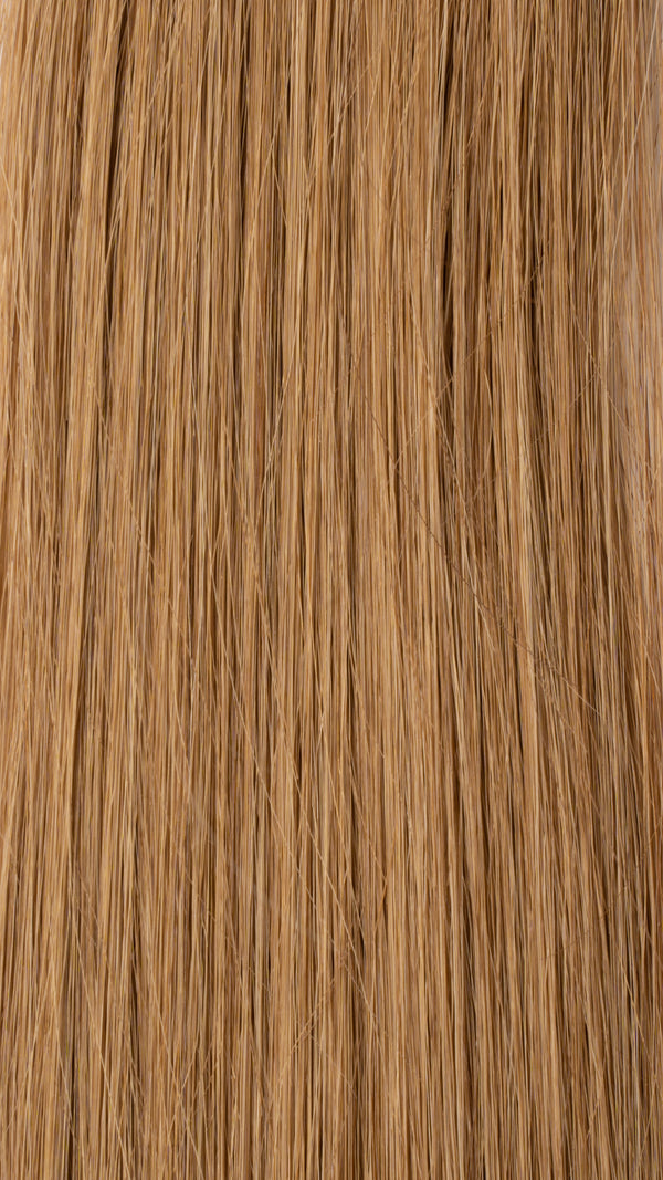 Tape In Hair Extensions: #29 Honey Blonde